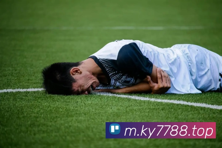 未来规划